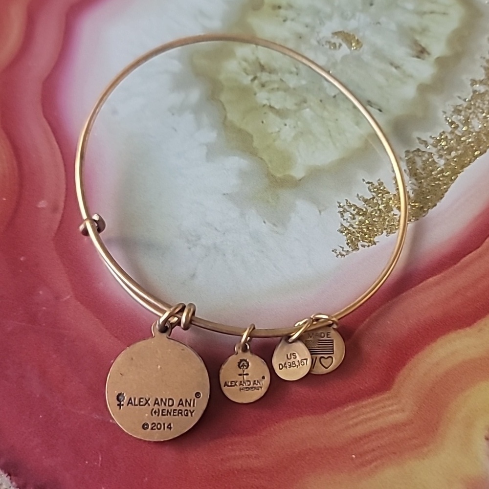 Alex and Ani Energy Charm Bracelet - Picture 3 of 5